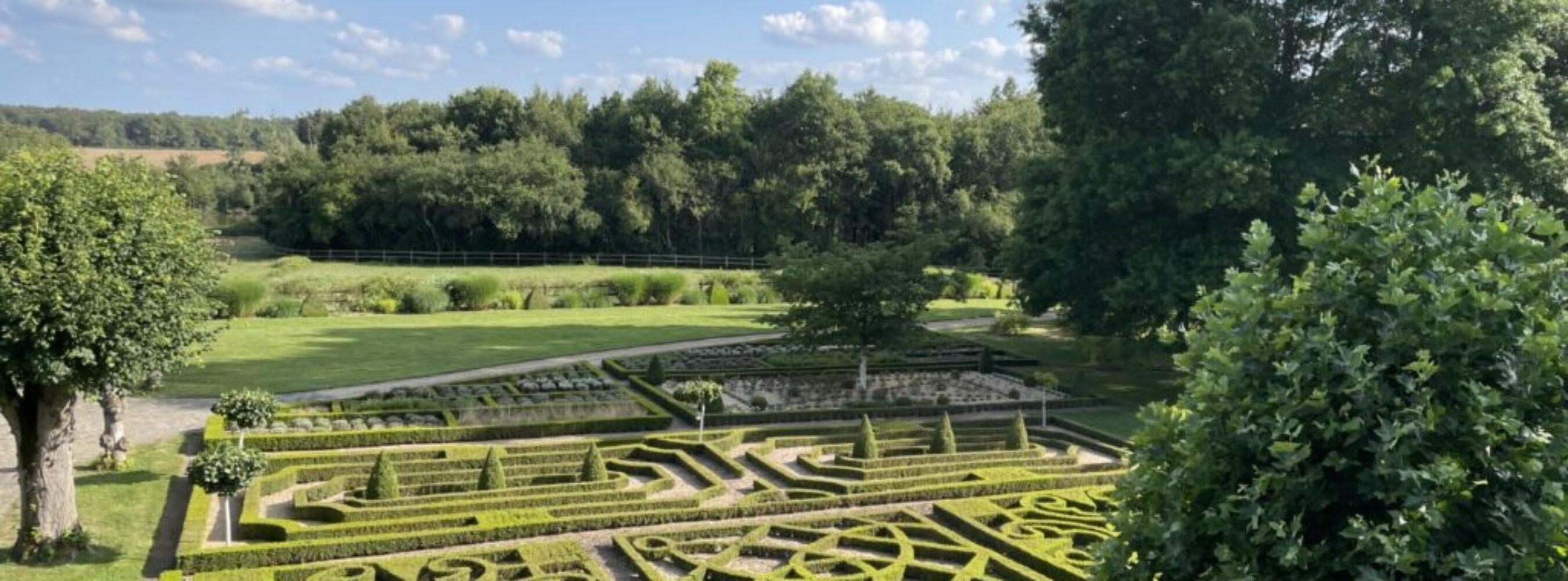 Garten von oben sonne j