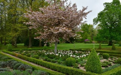 Garten1 j